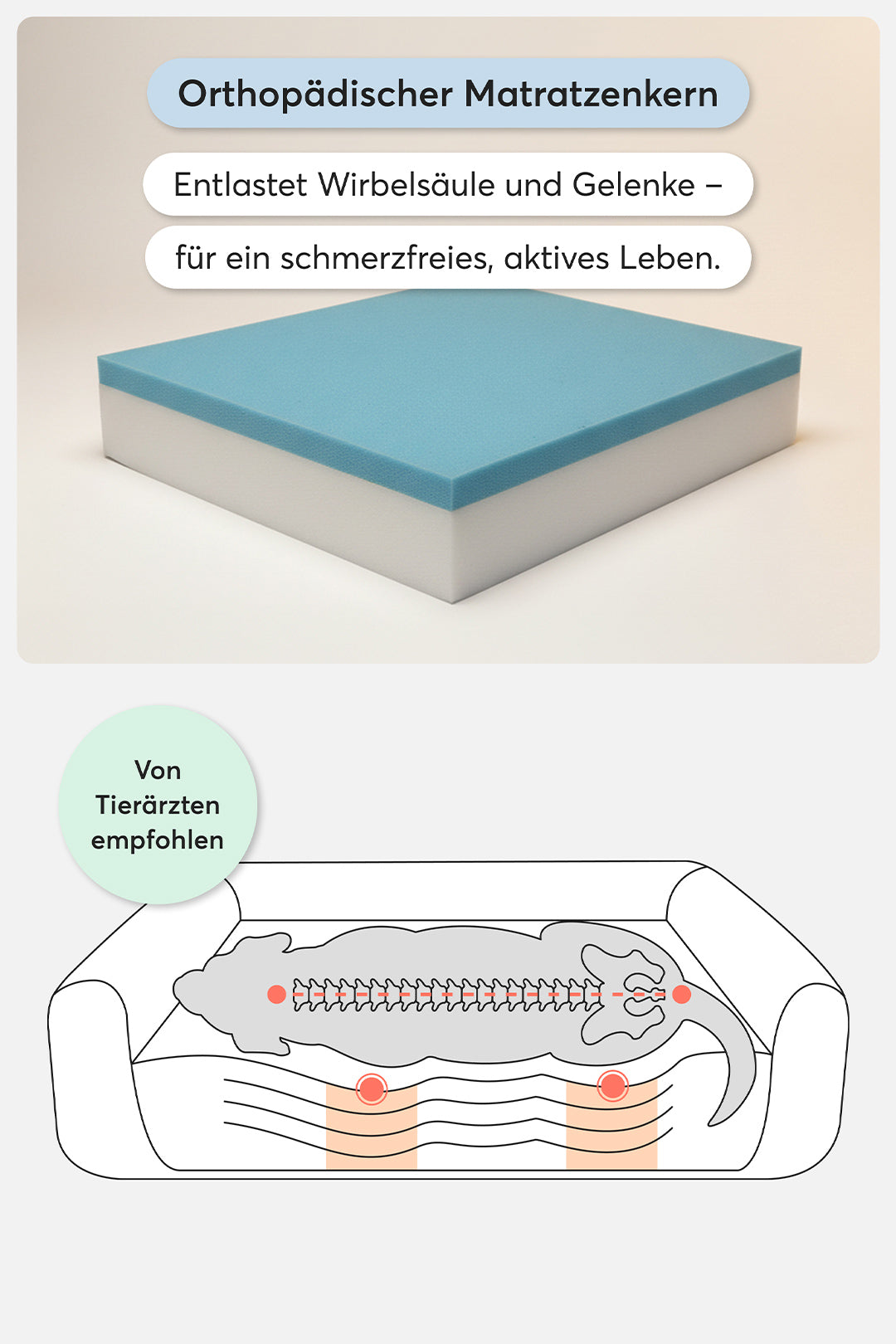 Orthopädisches Hundebett Pure Beige