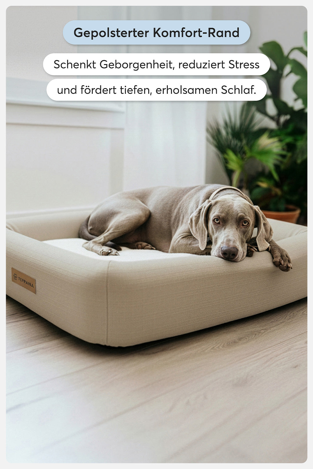 Orthopädisches Hundebett Pure Beige - Teppana